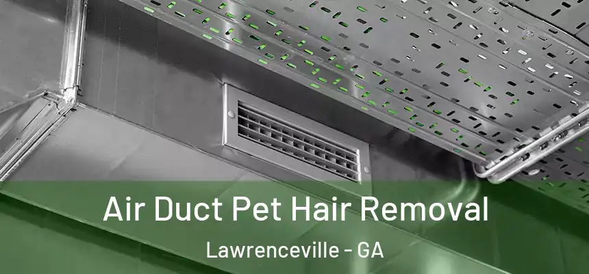 Air Duct Pet Hair Removal Lawrenceville - GA