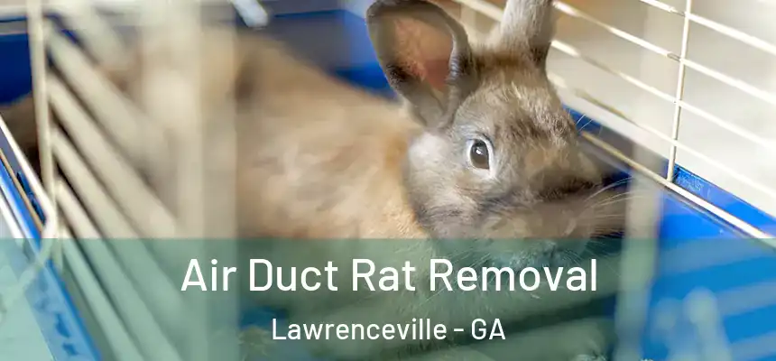  Air Duct Rat Removal Lawrenceville - GA