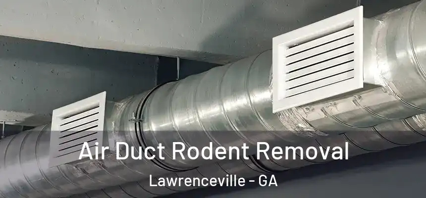  Air Duct Rodent Removal Lawrenceville - GA