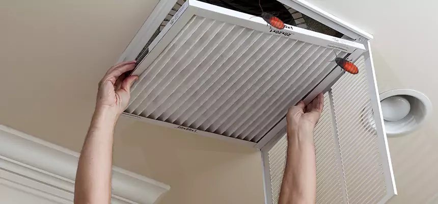 Preventive Cockroach-Proofing for Ducts in Lawrenceville