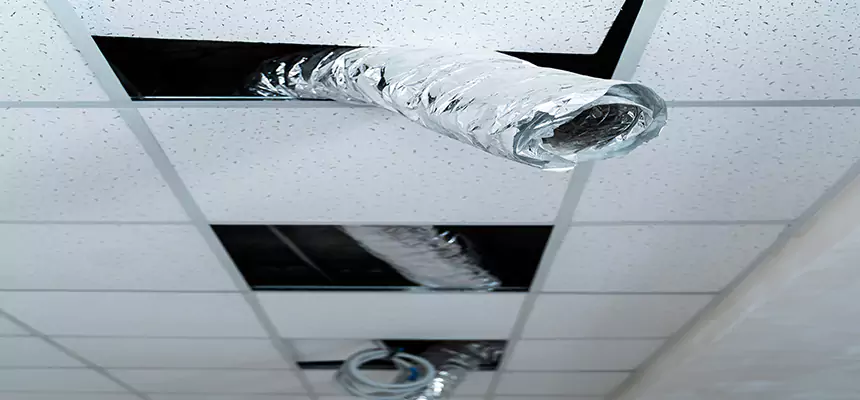 Our Air Duct Pet Hair Removal Services in Lawrenceville, GA