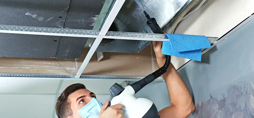 Our Air Duct Rodent Removal Services in Lawrenceville, GA