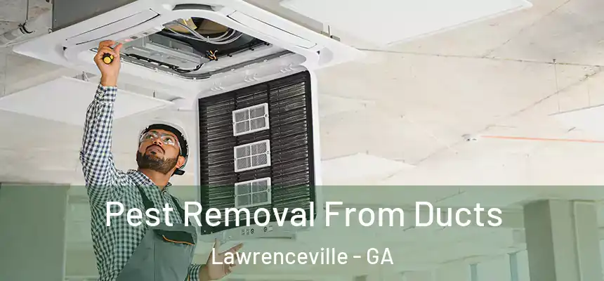  Pest Removal From Ducts Lawrenceville - GA