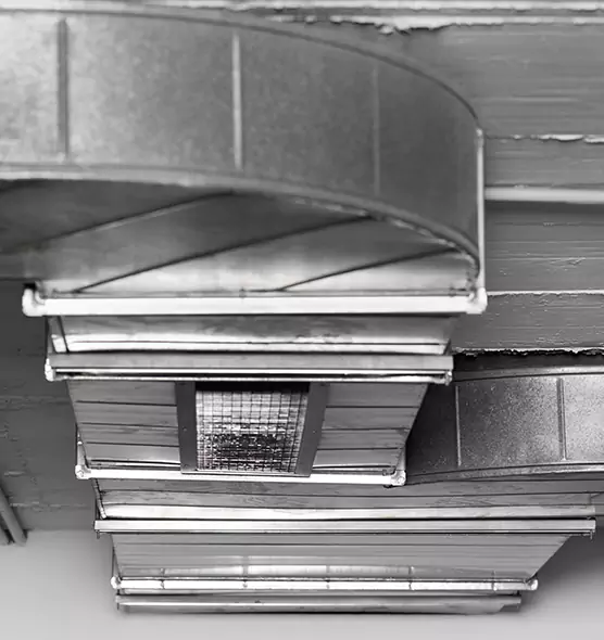 Professional Air Duct Pet Hair Removal in Lawrenceville, GA