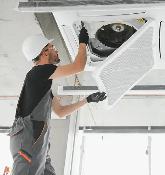 About Air Duct Rodent Removal in Lawrenceville, GA