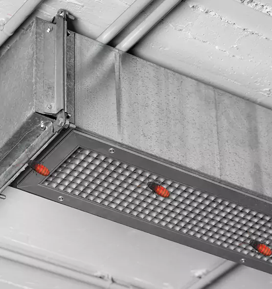 Affordable Insect Removal from Air Ducts in Lawrenceville, GA