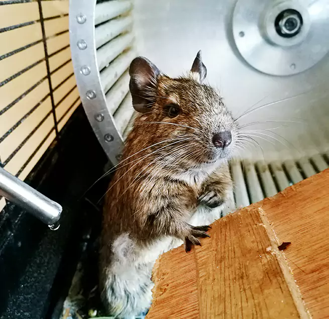 Why Homeowners & Businesses Trust Us Lawrenceville, GA